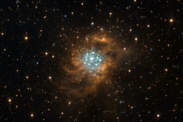 Could a Windy Star Cluster Conceal an IMBH?