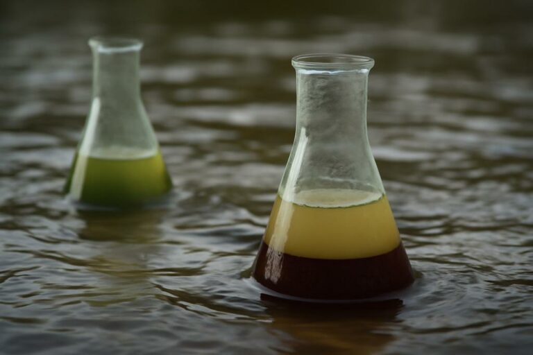 Molecules Whisper in Turbid Waters of Choice and Change