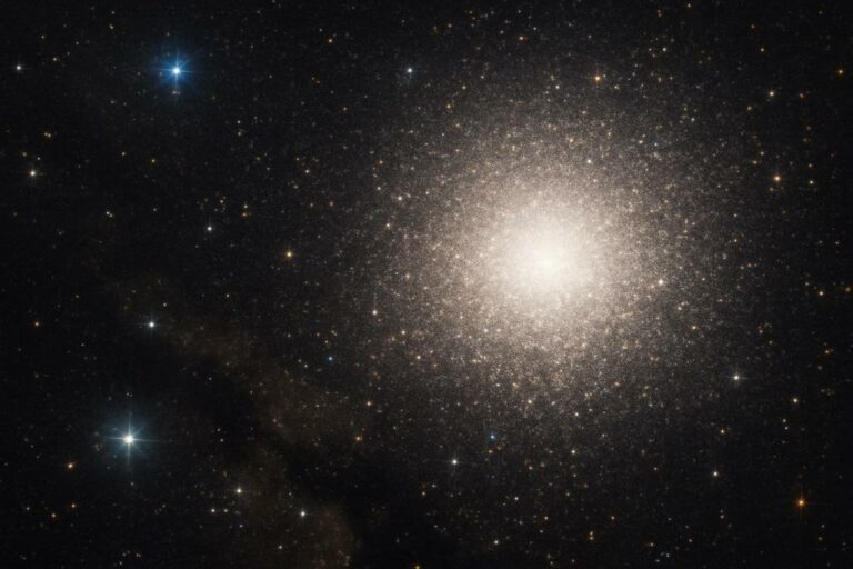 Omega Centauri Reveals Hidden Family Ties in the Milky Way